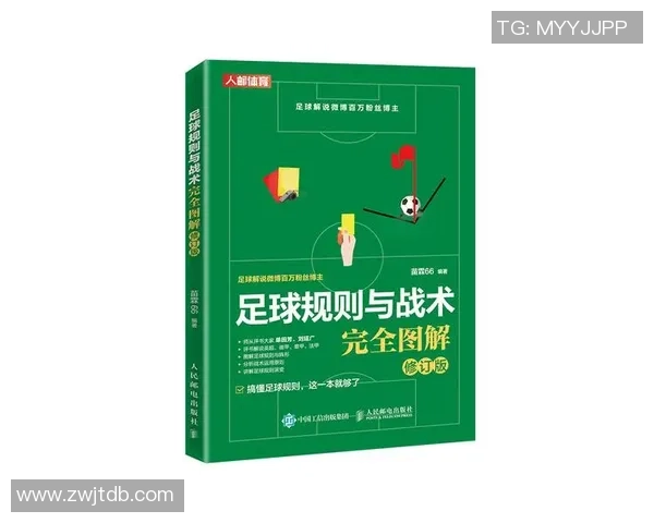 南京足球队比赛经验深度解析与战术探讨